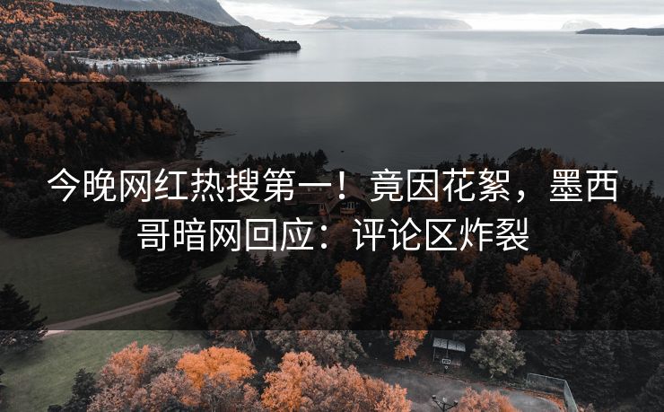 今晚网红热搜第一！竟因花絮，墨西哥暗网回应：评论区炸裂