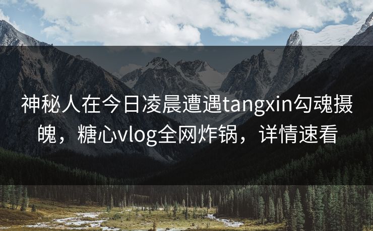 神秘人在今日凌晨遭遇tangxin勾魂摄魄，糖心vlog全网炸锅，详情速看