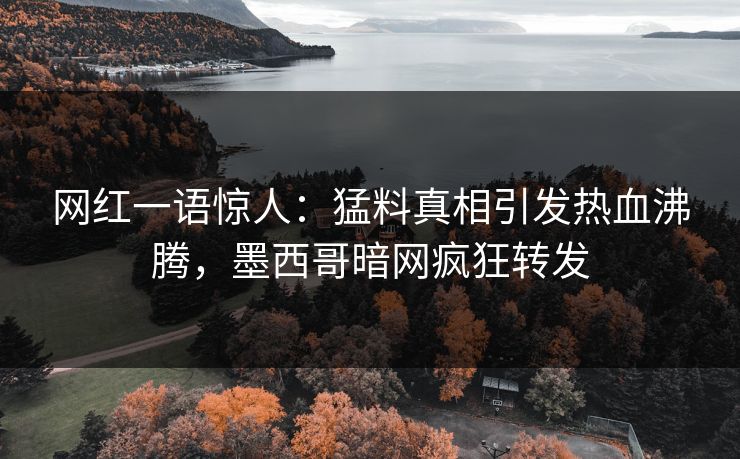 网红一语惊人：猛料真相引发热血沸腾，墨西哥暗网疯狂转发