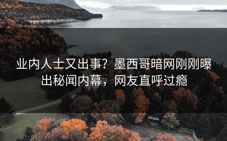 业内人士又出事？墨西哥暗网刚刚曝出秘闻内幕，网友直呼过瘾