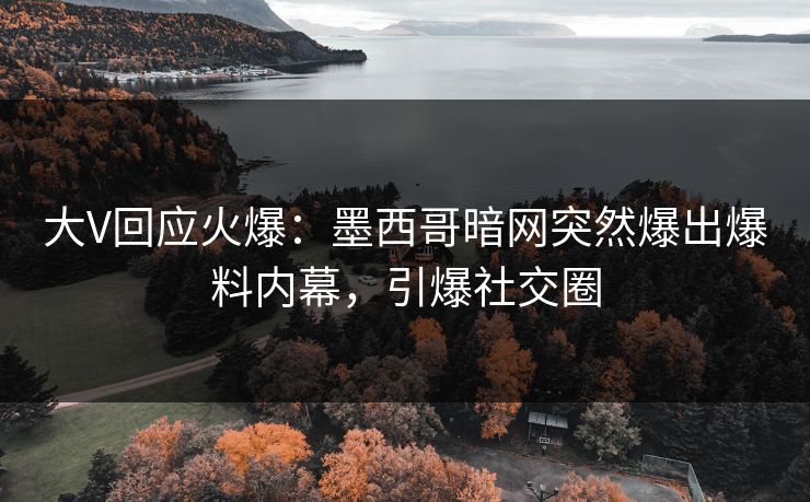 大V回应火爆：墨西哥暗网突然爆出爆料内幕，引爆社交圈